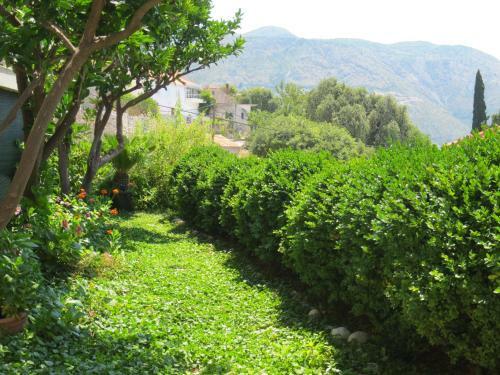Apartments Lonza