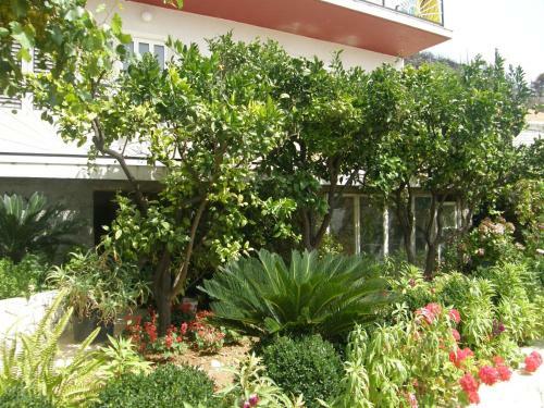 Apartments Lonza