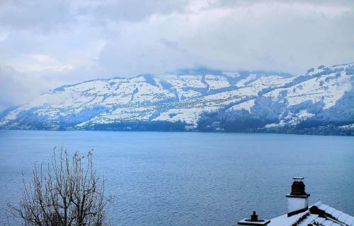 Hotel Seeblick