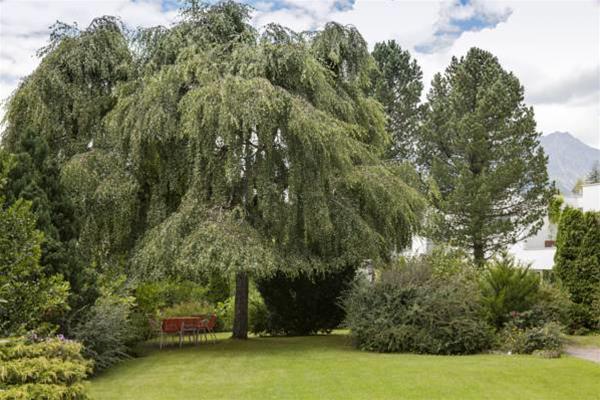 Apartamento Waldhaus Igls