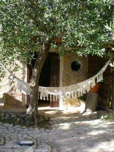 Bed & Breakfast Buenavistasurfmed
