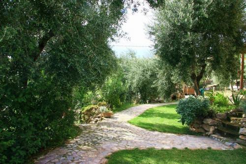 Bed & Breakfast Buenavistasurfmed