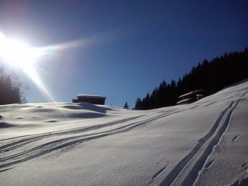 Apartamento Landhaus Tirol
