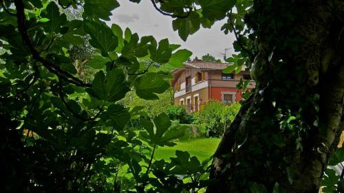 Agroturismo Labeondo