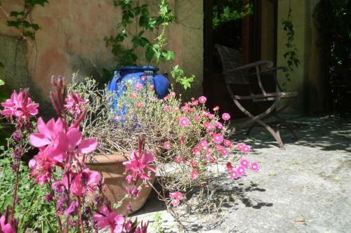 Hostal Le Mas De La Chouette