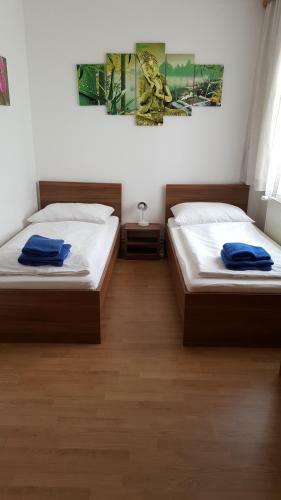 Bed & Breakfast Pension Haus Nova