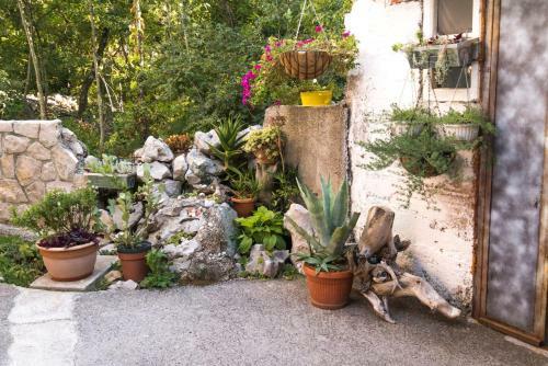 Apartments Miskovic