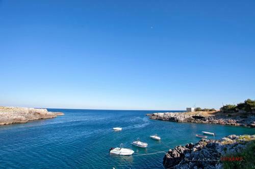 Agroturismo Masseria Terra D'otranto