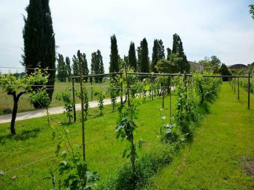 Apartamento Villa Verit�