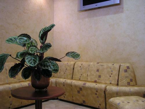 Hotel Mistral