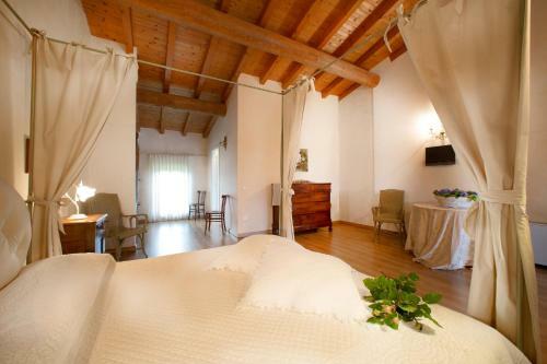 Hostal Fenil Conter