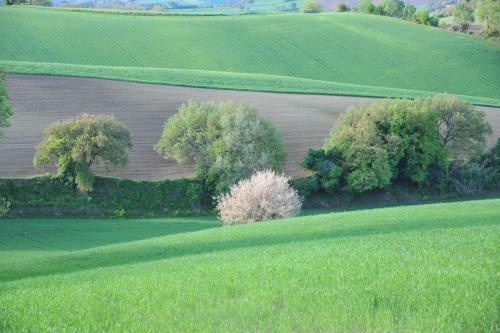 Agroturismo Solea Albergo Di Campagna