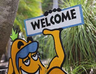 Albergue Cool Bananas Backpackers