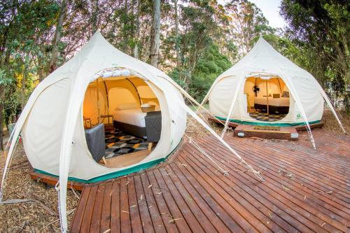 Big4 Yarra Valley Holiday Park