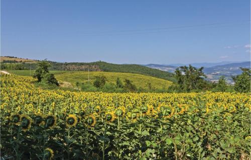 Holiday Home Todi -pg- 29
