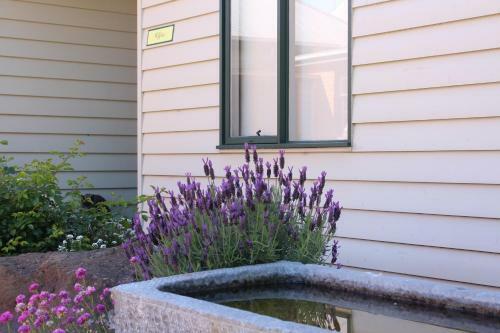 Bed & Breakfast Woodend Old School House