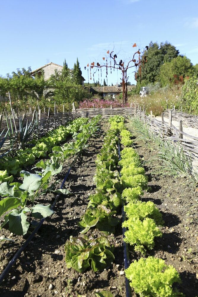 Hotel Le Mas Des Figues