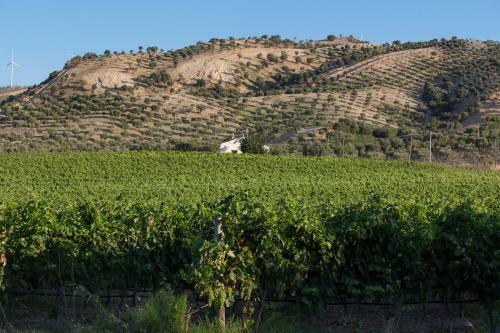 Agroturismo Dattilo