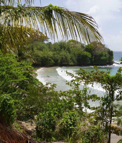 Blue Haven Hotel - Bacolet Bay - Tobago