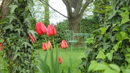 Bed & Breakfast La Casa Del Giardiniere