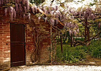 Bed & Breakfast Agriturismo Il Gioco Dell'oca