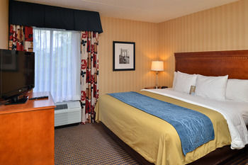 Hotel Comfort Inn Alexandria