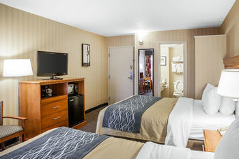 Hotel Comfort Inn Alexandria