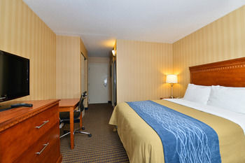 Hotel Comfort Inn Alexandria