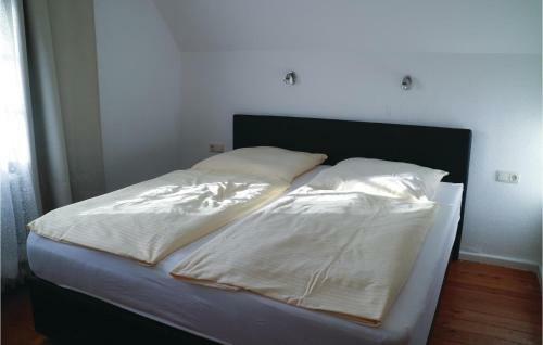 Apartment Birkenallee X