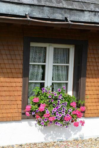Hotel Zum L�wen - Unteres Wirtshaus