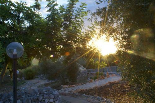 Agroturismo Tenuta Palma
