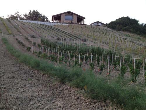 Agroturismo Agriturismo Alba Del Borgo