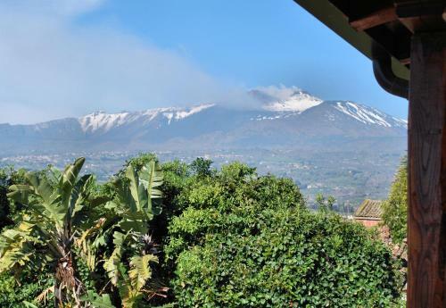Apartamento Appartamento Paradise