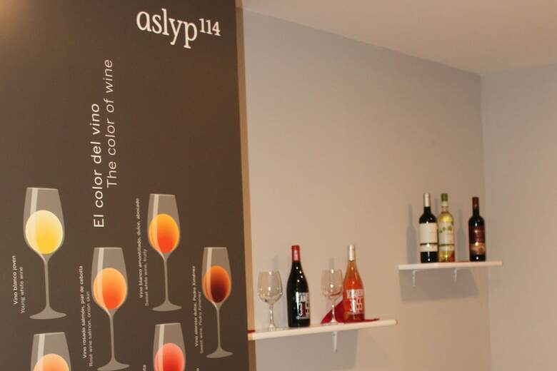Pension Hostal Aslyp 114