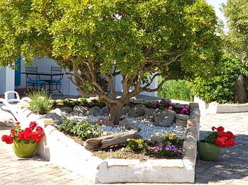 Hotel La Lagune