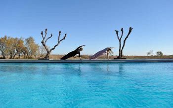 Hotel Auberge Cavaliere