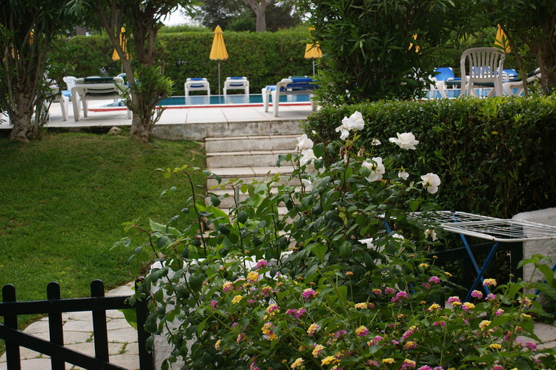 Apartamentos Hamilton Court