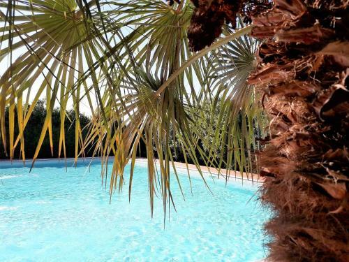 Agroturismo Villa Curina Resort