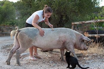 Agroturismo Ecoparco Neule'