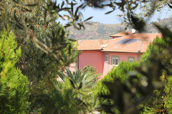 Agroturismo Agriturismo Eucalipto