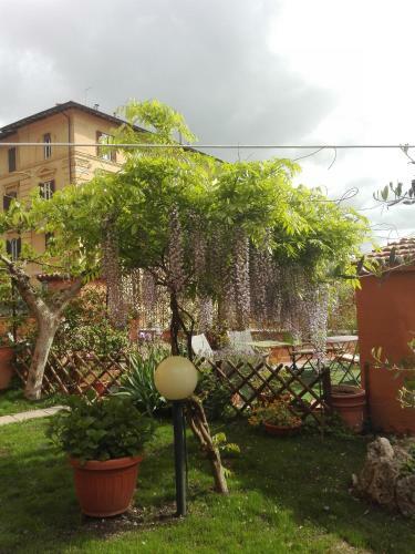 Bed & Breakfast Al Giardino Di Alice