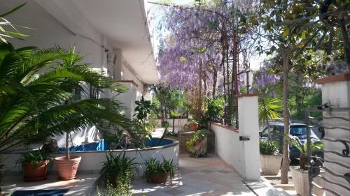 Hotel Call� 2