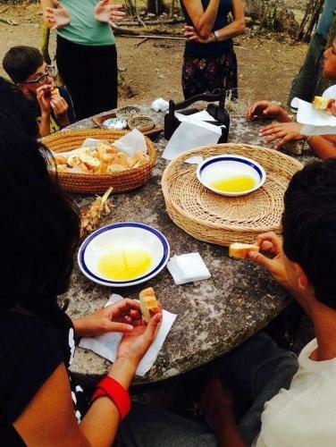 Agroturismo Azienda Agricola Traina