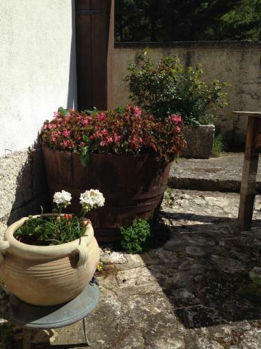 Agroturismo Azienda Agricola Traina