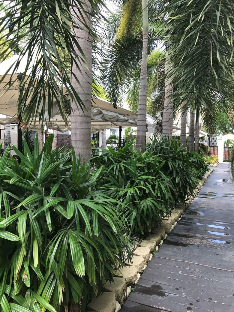 Hotel South Beach Plaza Villas