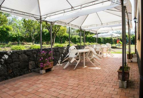 Bed & Breakfast Agriturismo Biologico Dell' Etna