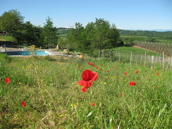 Bed & Breakfast Cascina Ponchietta