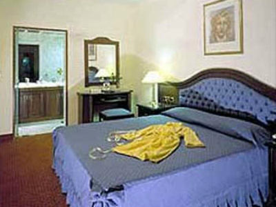 Hotel Capsis