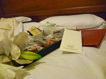 Hotel Minerva