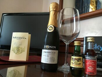 Hotel Minerva